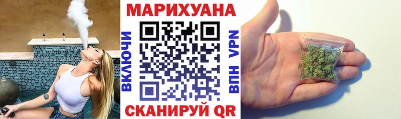 Купить  Малая Вишера  Конопля сатива 